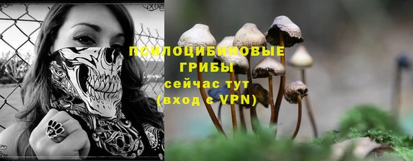 круглые Алексеевка