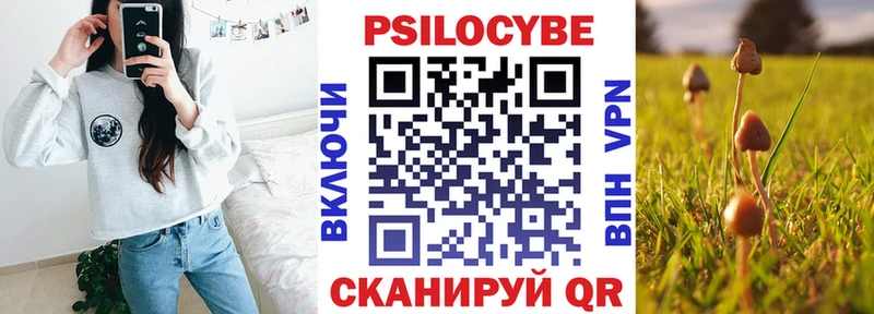 Псилоцибиновые грибы прущие грибы  нарко площадка телеграм  Анива 